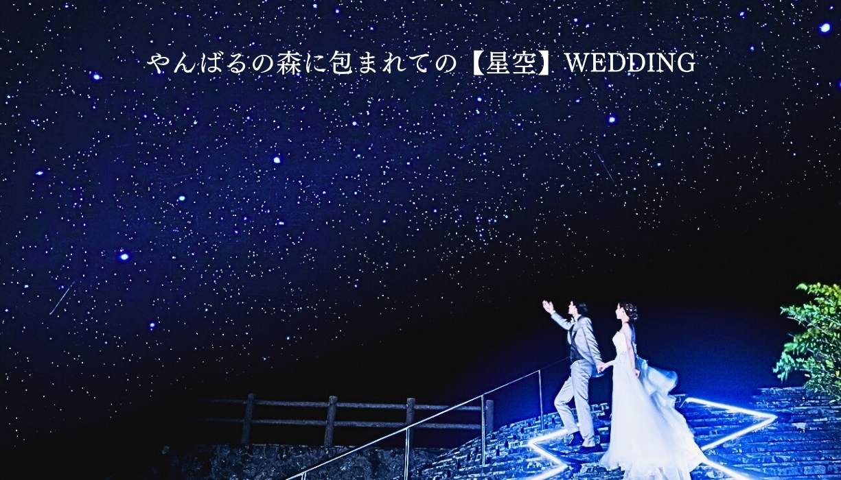 国頭村森林公園【やんばるの大自然＆満天の星空フォト】